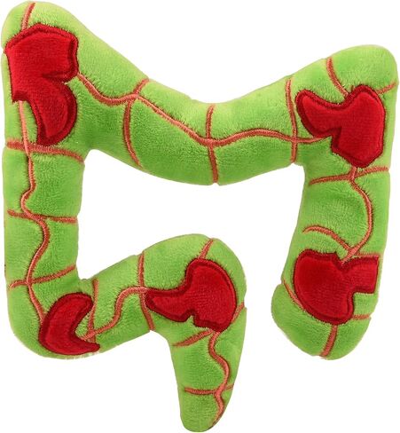 GIANTmicrobes Crohn’s & Colitis - Anatomical Organ Toy, Get Well Gift for Intestinal and GI Health, Unique Gift for Family, Friends, Students, Educators, Gastroenterologists and Other Doctors in Saudi Arabia