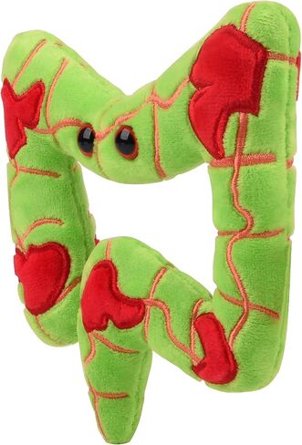 GIANTmicrobes Crohn’s & Colitis - Anatomical Organ Toy, Get Well Gift for Intestinal and GI Health, Unique Gift for Family, Friends, Students, Educators, Gastroenterologists and Other Doctors in Saudi Arabia