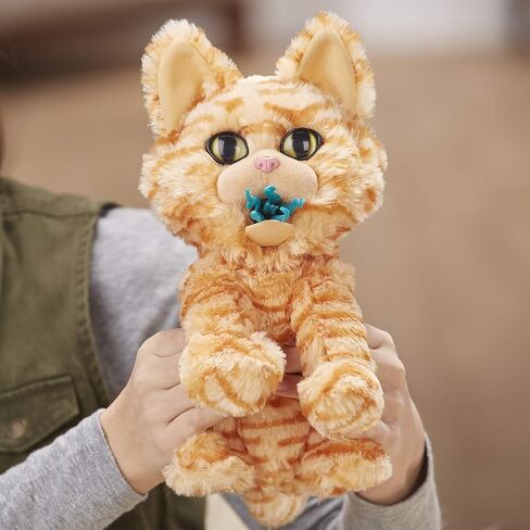 Marvel Captain Marvel Movie Goose The Cat in Saudi Arabia