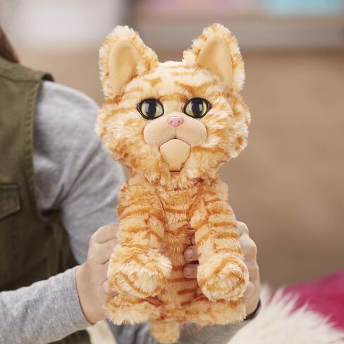 Marvel Captain Marvel Movie Goose The Cat in Saudi Arabia