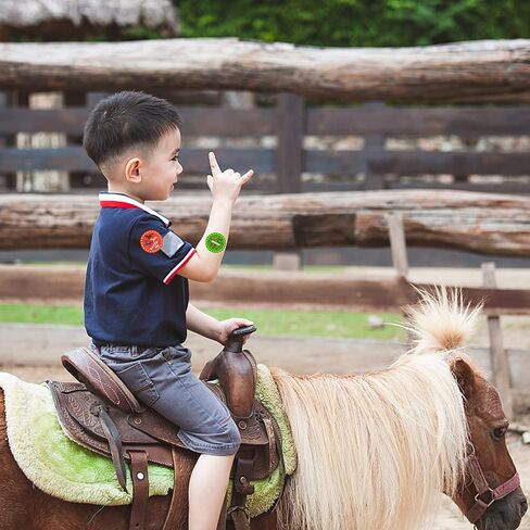 Oringaga 500PCS Horse Stickers-Kentucky Day/Pony/Horse/Animal Themed Baby Shower Birthday Party Supplies Favors Decorations Stuffers Labels in Saudi Arabia