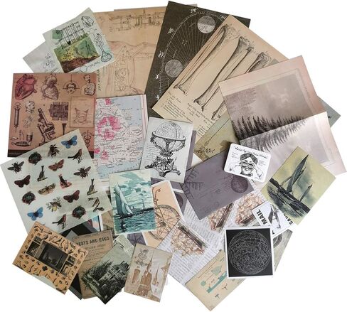 خمر سكرابوكينغ المواد ورقة diy ملصق مجموعة النباتات الحشرات الحيوان ريترو الأشياء الزخرفية diy التسمية الفن الحرفية سكرابوكينغ مخطط ألبوم يوميات يوميات الرسالة in Kuwait