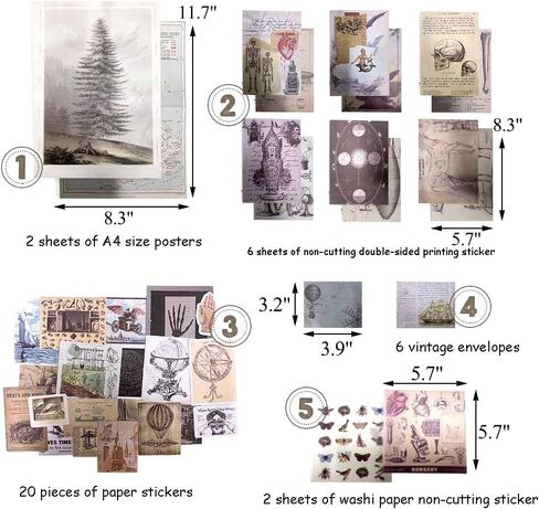 خمر سكرابوكينغ المواد ورقة diy ملصق مجموعة النباتات الحشرات الحيوان ريترو الأشياء الزخرفية diy التسمية الفن الحرفية سكرابوكينغ مخطط ألبوم يوميات يوميات الرسالة in Kuwait