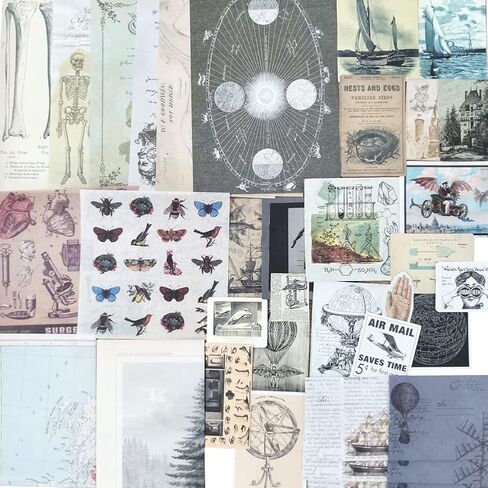 خمر سكرابوكينغ المواد ورقة diy ملصق مجموعة النباتات الحشرات الحيوان ريترو الأشياء الزخرفية diy التسمية الفن الحرفية سكرابوكينغ مخطط ألبوم يوميات يوميات الرسالة in Kuwait