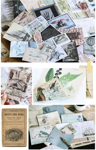 خمر سكرابوكينغ المواد ورقة diy ملصق مجموعة النباتات الحشرات الحيوان ريترو الأشياء الزخرفية diy التسمية الفن الحرفية سكرابوكينغ مخطط ألبوم يوميات يوميات الرسالة in Kuwait