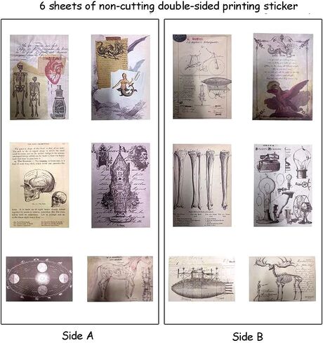 خمر سكرابوكينغ المواد ورقة diy ملصق مجموعة النباتات الحشرات الحيوان ريترو الأشياء الزخرفية diy التسمية الفن الحرفية سكرابوكينغ مخطط ألبوم يوميات يوميات الرسالة in Kuwait