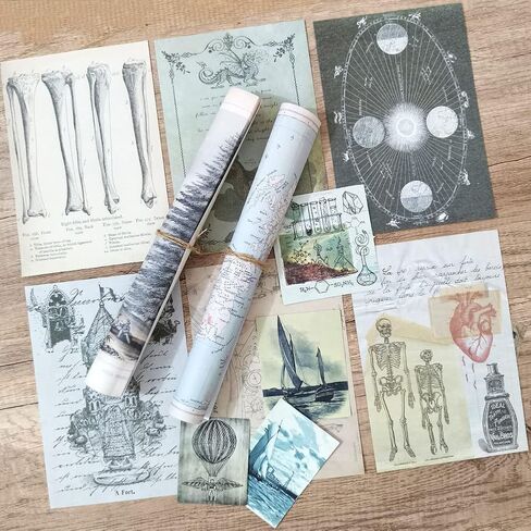 خمر سكرابوكينغ المواد ورقة diy ملصق مجموعة النباتات الحشرات الحيوان ريترو الأشياء الزخرفية diy التسمية الفن الحرفية سكرابوكينغ مخطط ألبوم يوميات يوميات الرسالة in Kuwait