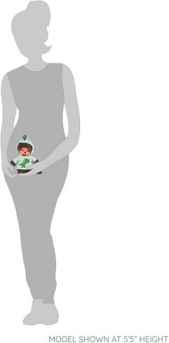 مونشيشي هودي ديناصور من سيكيجوتشي - قطيفة 8 انش in Kuwait