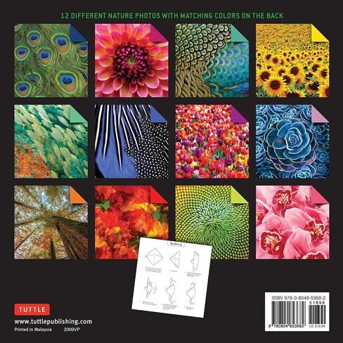 Origami Paper 200 sheets Nature Photos 8 1/4" (21 cm): Double-Sided Origami Sheets Printed with 12 Photographs (Instructions for 6 Projects Included) in Saudi Arabia