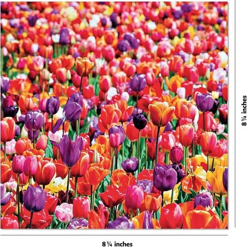 Origami Paper 200 sheets Nature Photos 8 1/4" (21 cm): Double-Sided Origami Sheets Printed with 12 Photographs (Instructions for 6 Projects Included) in Saudi Arabia