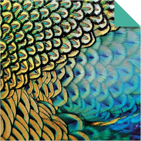 Origami Paper 200 sheets Nature Photos 8 1/4" (21 cm): Double-Sided Origami Sheets Printed with 12 Photographs (Instructions for 6 Projects Included) in Saudi Arabia