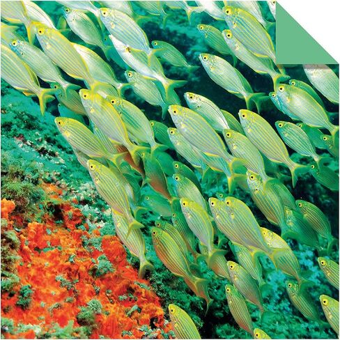 Origami Paper 200 sheets Nature Photos 8 1/4" (21 cm): Double-Sided Origami Sheets Printed with 12 Photographs (Instructions for 6 Projects Included) in Saudi Arabia