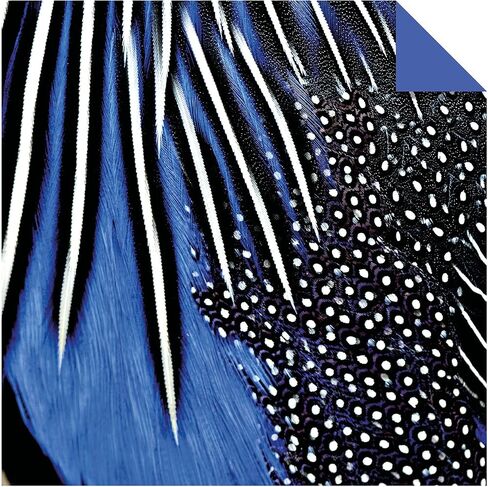 Origami Paper 200 sheets Nature Photos 8 1/4" (21 cm): Double-Sided Origami Sheets Printed with 12 Photographs (Instructions for 6 Projects Included) in Saudi Arabia
