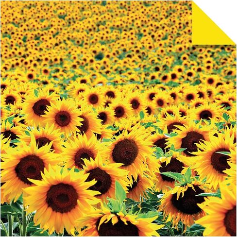 Origami Paper 200 sheets Nature Photos 8 1/4" (21 cm): Double-Sided Origami Sheets Printed with 12 Photographs (Instructions for 6 Projects Included) in Saudi Arabia
