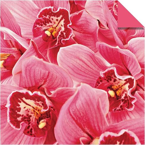 Origami Paper 200 sheets Nature Photos 8 1/4" (21 cm): Double-Sided Origami Sheets Printed with 12 Photographs (Instructions for 6 Projects Included) in Saudi Arabia
