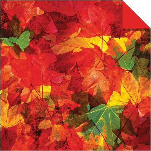 Origami Paper 200 sheets Nature Photos 8 1/4" (21 cm): Double-Sided Origami Sheets Printed with 12 Photographs (Instructions for 6 Projects Included) in Saudi Arabia