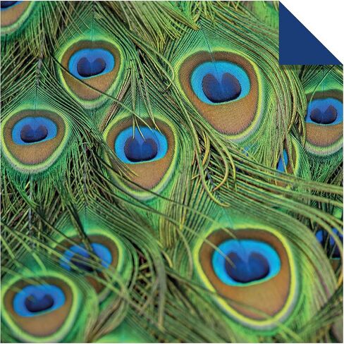Origami Paper 200 sheets Nature Photos 8 1/4" (21 cm): Double-Sided Origami Sheets Printed with 12 Photographs (Instructions for 6 Projects Included) in Saudi Arabia