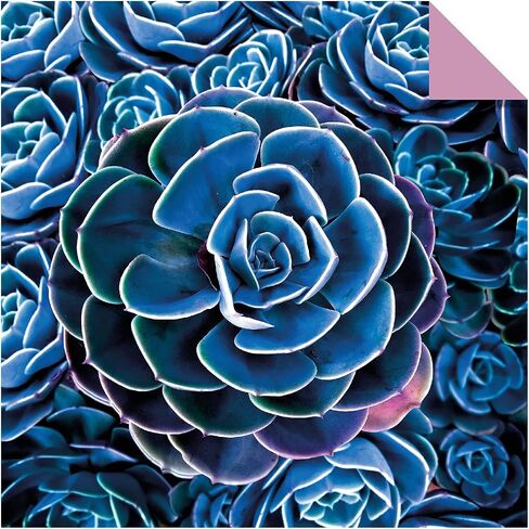Origami Paper 200 sheets Nature Photos 8 1/4" (21 cm): Double-Sided Origami Sheets Printed with 12 Photographs (Instructions for 6 Projects Included) in Saudi Arabia