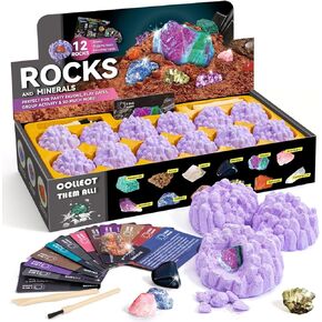 Byncceh Fossil Dig Kit - Educational STEM Science Toys for Kids Ages 6+ - Dig Up 12 Fossils Real & Dinosaur Bones Rocks - Digging Activities Kits - Paleontology, Discovery Gifts for Boys & Girls