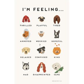 Brighter Fun Feelings Chart: Cats Children's Classroom Bedroom Nursery Poster in Kuwait