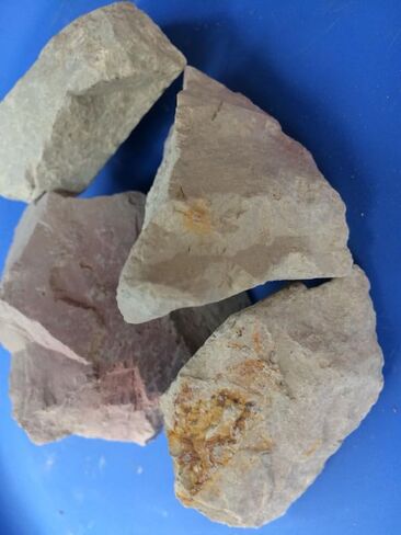 White Rose Clay 500 Grams in Saudi Arabia