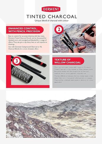 Derwent Tinted Charcoal Pencils, 4mm Core, Metal Tin, 24 Count (2301691) in Saudi Arabia