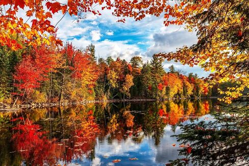 Springbok Autum Lake 500 Piece Jigsaw Puzzle for Adults Features Breathtaking Autumn Foliage Against a Reflective Lake in Saudi Arabia