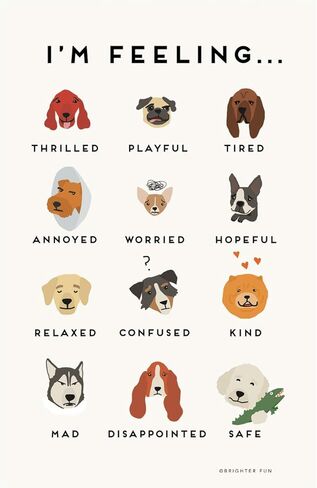 Brighter Fun Feelings Chart: Cats Children's Classroom Bedroom Nursery Poster in Kuwait