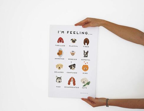 Brighter Fun Feelings Chart: Cats Children's Classroom Bedroom Nursery Poster in Kuwait