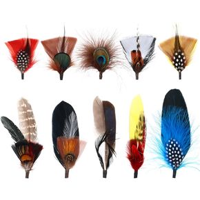 QADLZXS Hat Feathers,10 Styles Assorted Natural Feathers Accessories for Fedora,Western Cowboy,Open Road,Borges, Scott, Oktoberfest, Trilby Hats in Saudi Arabia