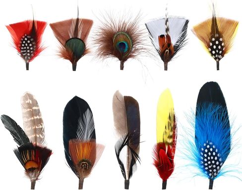 Hat Feathers,10 Styles Assorted Natural Feathers Accessories for Fedora,Western Cowboy,Open Road,Borges, Scott, Oktoberfest, Trilby Hats in Saudi Arabia