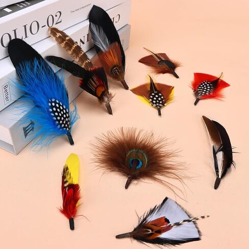 Hat Feathers,10 Styles Assorted Natural Feathers Accessories for Fedora,Western Cowboy,Open Road,Borges, Scott, Oktoberfest, Trilby Hats in Saudi Arabia