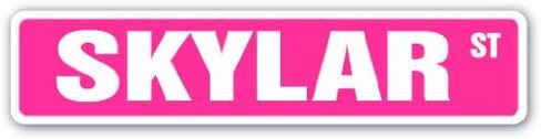 SKYLAR Street Sign Childrens Name Room Sign | Indoor/Outdoor | 18" Wide Plastic Sign in Saudi Arabia