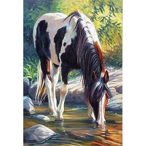 مجموعة لوحة الماس 5 دي ذاتية الصنع من مجموعة الارقام، حفر كامل كريستال حجر الراين الماس لوحات تطريز فنية للديكور متعدد الالوان in Kuwait