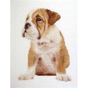 Adorable Wrinkles Counted Cross Stitch kit by Orcraphics in Saudi Arabia