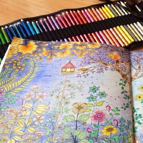 أقلام تلوين احترافية ملونة للأطفال والبالغين من برينجسين - أقلام تلوين مع حقيبة أقلام رصاص رصاص رصاص غير سامة لرسم الفنان، كتاب تلوين الحديقة السرية (غير متضمن) متنوع 36 in Kuwait