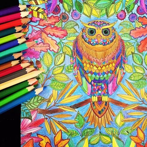 أقلام تلوين احترافية ملونة للأطفال والبالغين من برينجسين - أقلام تلوين مع حقيبة أقلام رصاص رصاص رصاص غير سامة لرسم الفنان، كتاب تلوين الحديقة السرية (غير متضمن) متنوع 36 in Kuwait