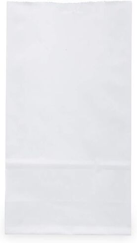أكياس الوجبات الخفيفة/الغداء المعاد تدويرها بنسبة 100% من JAM PAPER - صغيرة (4 1/8 × 8 × 2 1/4) - أكياس بقالة كرافت بنية - 25/عبوة in Saudi Arabia