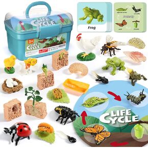 Aprilwolf Life Cycle Kit Toy Montessori, Realistic Figurines Set for Kids with 25 Pieces Animals & Plants, Learning & Education Activity Games for Children 3 + |Preschool Classroom Must Haves