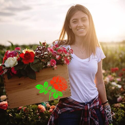 20Pcs Rose Flower Stencils Flower Leaf Painting Stencils Reusable Rose Stencil Floral Plastic Art Drawing Templates DIY Crafts Plant Stencil for Painting on Wood Wall Door Canvas Home Decor in Kuwait