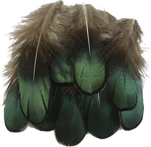 Sowder 10pcs Silver Pheasant Plumage Feathers 7-10 Inches Home Wedding Decoration in Kuwait