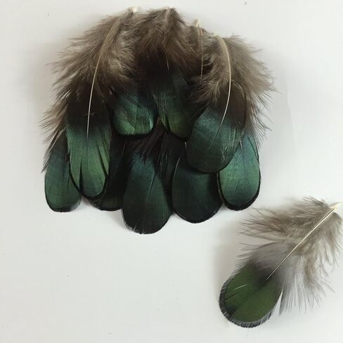 Sowder 10pcs Silver Pheasant Plumage Feathers 7-10 Inches Home Wedding Decoration in Kuwait