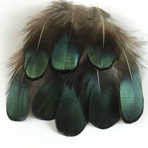 Sowder 10pcs Silver Pheasant Plumage Feathers 7-10 Inches Home Wedding Decoration in Kuwait