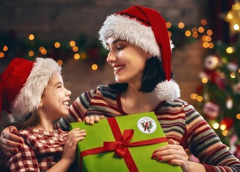 D4DREAM ملصقات ملصقات عيد الميلاد الكاردينال للأطفال 36 قطعة من أختام مغلف عيد الميلاد على شكل طائر أحمر مقاس 1.5 بوصة ذاتية اللصق لهدايا عيد الميلاد ملصقات للهدايا وبطاقات عيد الميلاد وصناديق هدايا للحفلات in Kuwait