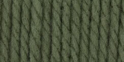 Bernat Softee Chunky Yarn (6-Pack) Forest 161128-28243 in Saudi Arabia