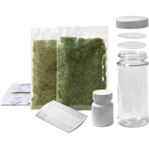 Woodland Scenics FS647 Static Grass Starter Kit in Kuwait