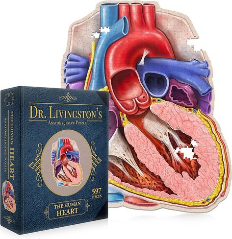 Dr. Livingston's Human Eye Anatomy Puzzle - A Medically Accurate Jigsaw Puzzle of The Human Eye - Educational Science Puzzles and Unique Gifts for Eye Doctors, Nurses and Medical Students in Saudi Arabia