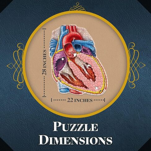 Dr. Livingston's Human Eye Anatomy Puzzle - A Medically Accurate Jigsaw Puzzle of The Human Eye - Educational Science Puzzles and Unique Gifts for Eye Doctors, Nurses and Medical Students in Saudi Arabia
