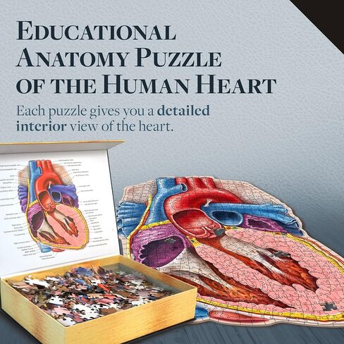 Dr. Livingston's Human Eye Anatomy Puzzle - A Medically Accurate Jigsaw Puzzle of The Human Eye - Educational Science Puzzles and Unique Gifts for Eye Doctors, Nurses and Medical Students in Saudi Arabia