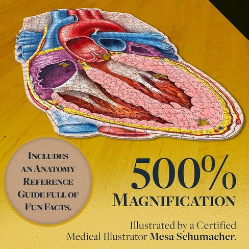 Dr. Livingston's Human Eye Anatomy Puzzle - A Medically Accurate Jigsaw Puzzle of The Human Eye - Educational Science Puzzles and Unique Gifts for Eye Doctors, Nurses and Medical Students in Saudi Arabia